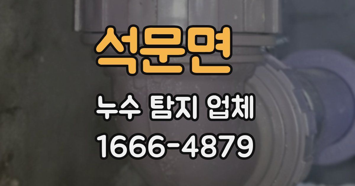 석문면 누수 탐지 업체