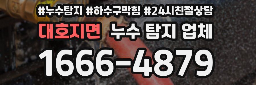 대호지면 누수 탐지 업체