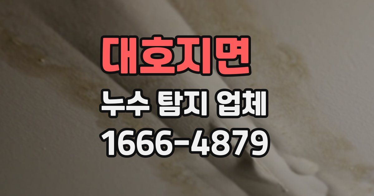 대호지면 누수 탐지 업체