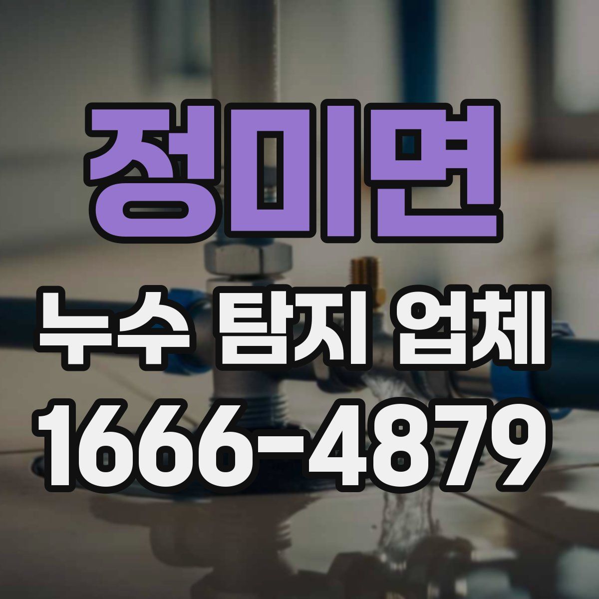 정미면 누수 탐지 업체