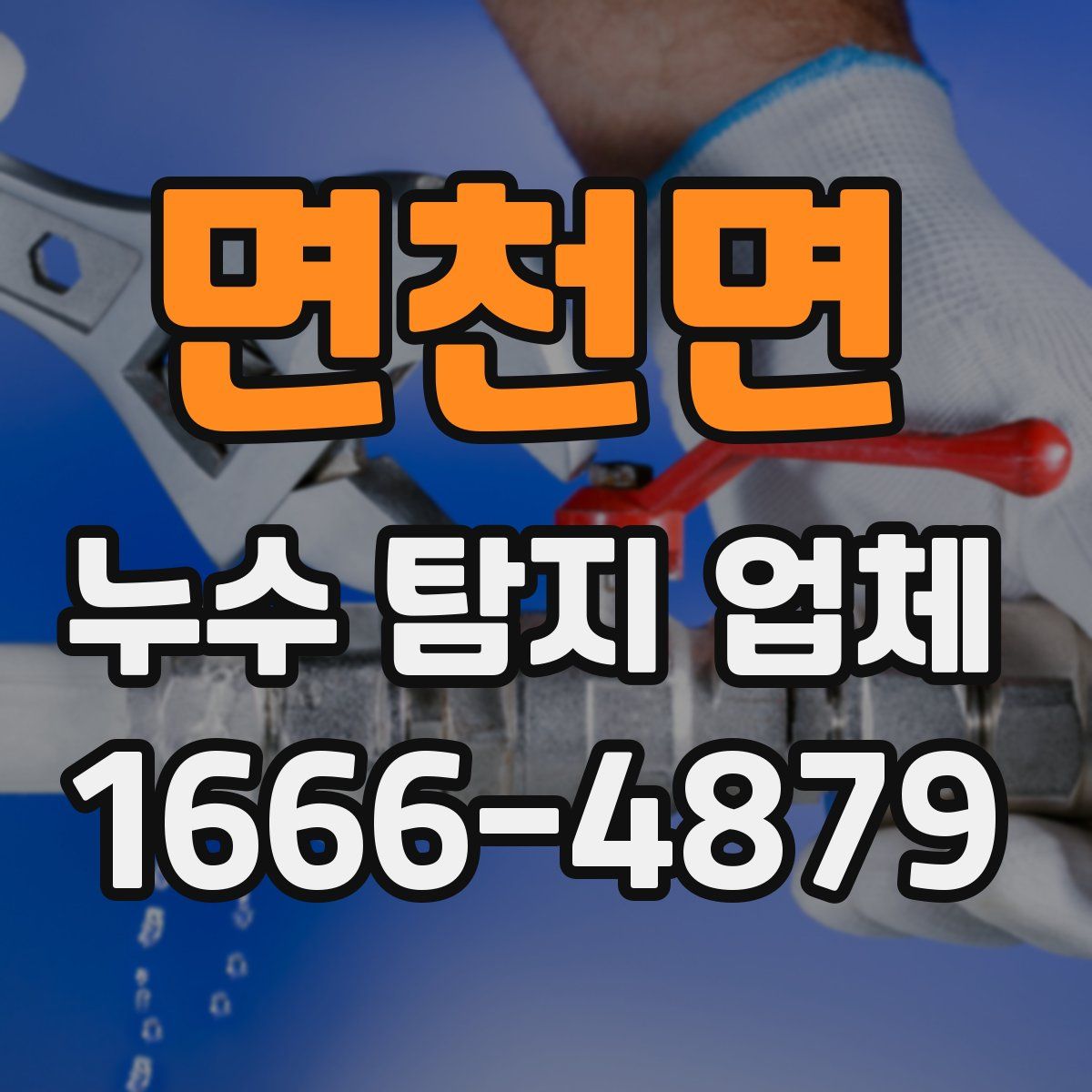 면천면 누수 탐지 업체