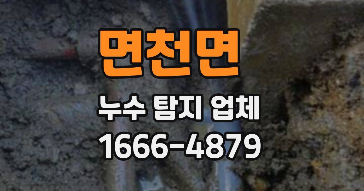 면천면 누수 탐지 업체