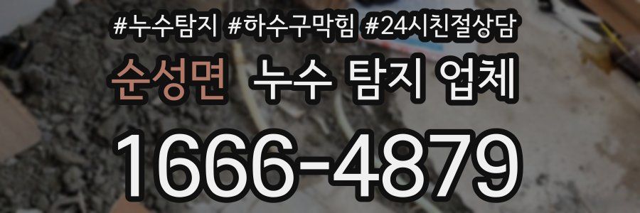 순성면 누수 탐지 업체