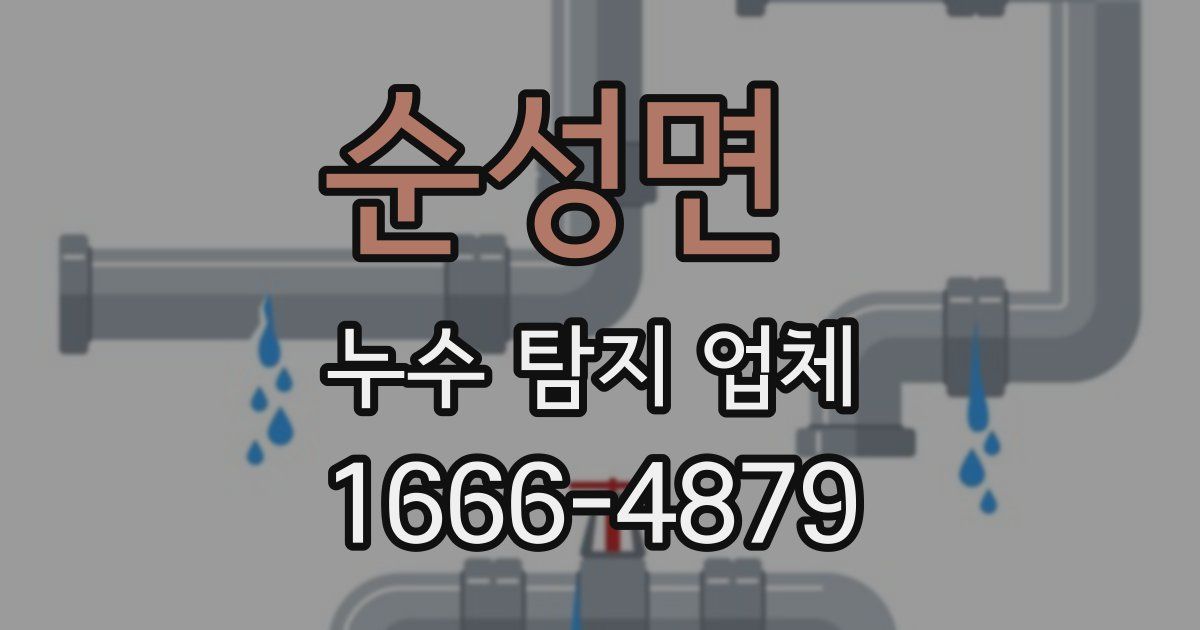 순성면 누수 탐지 업체