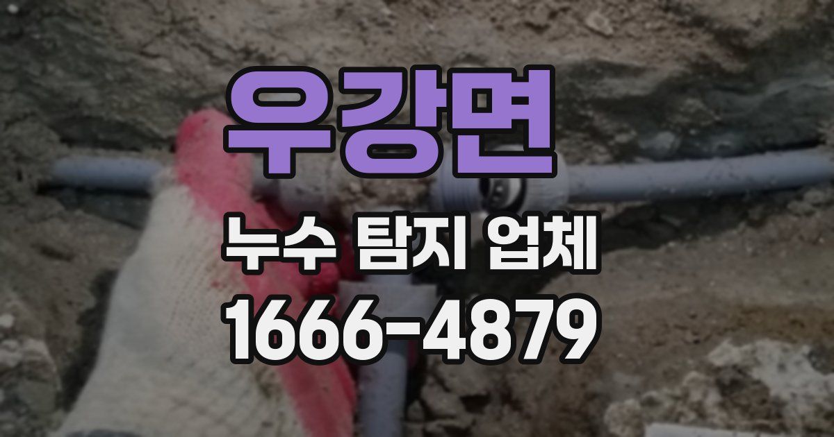 우강면 누수 탐지 업체