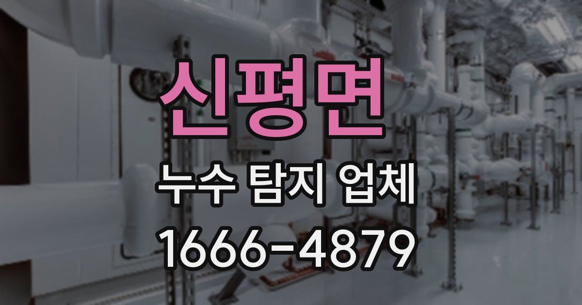 신평면 누수 탐지 업체