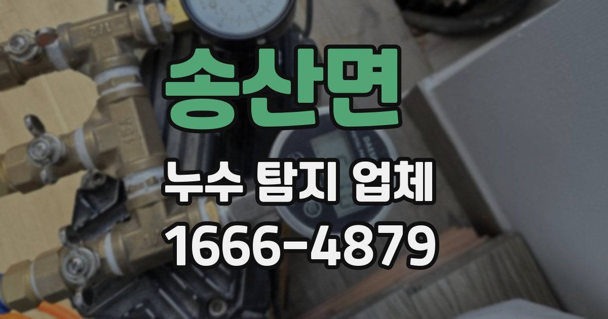 송산면 누수 탐지 업체