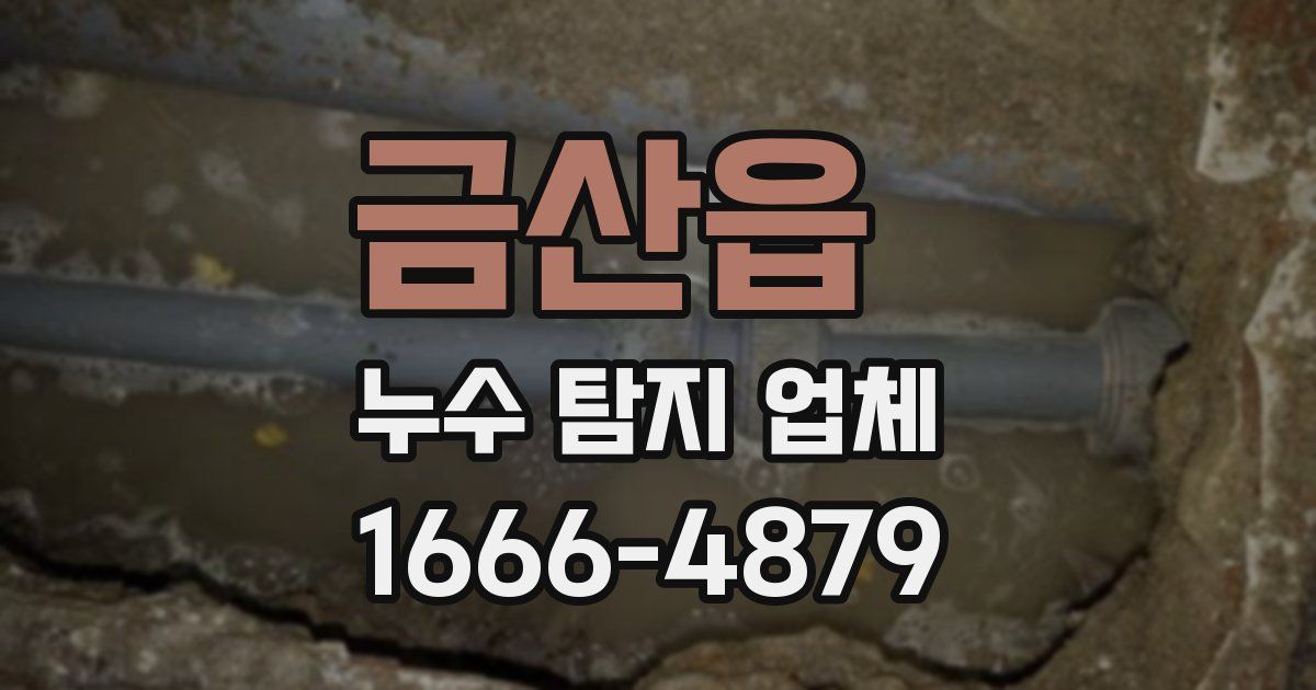 금산읍 누수 탐지 업체