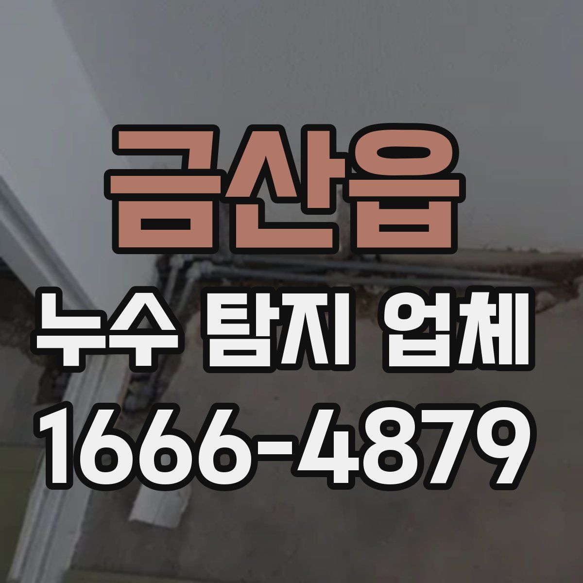 금산읍 누수 탐지 업체