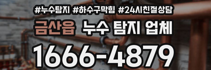 금산읍 누수 탐지 업체