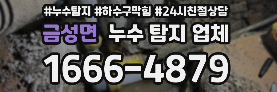 금성면 누수 탐지 업체
