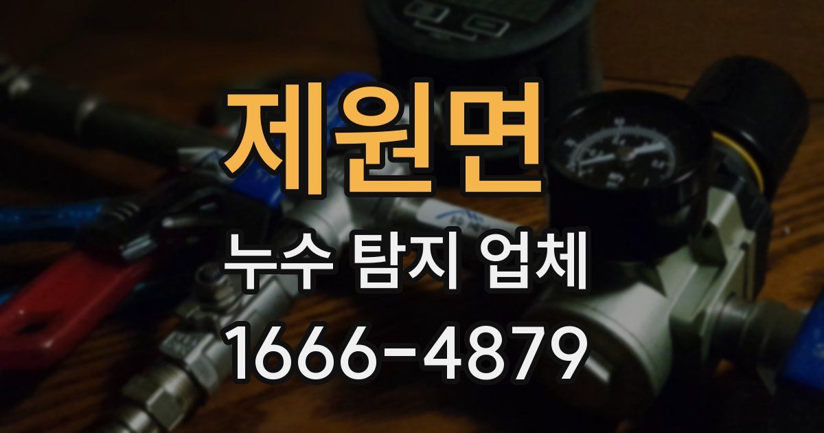 제원면 누수 탐지 업체