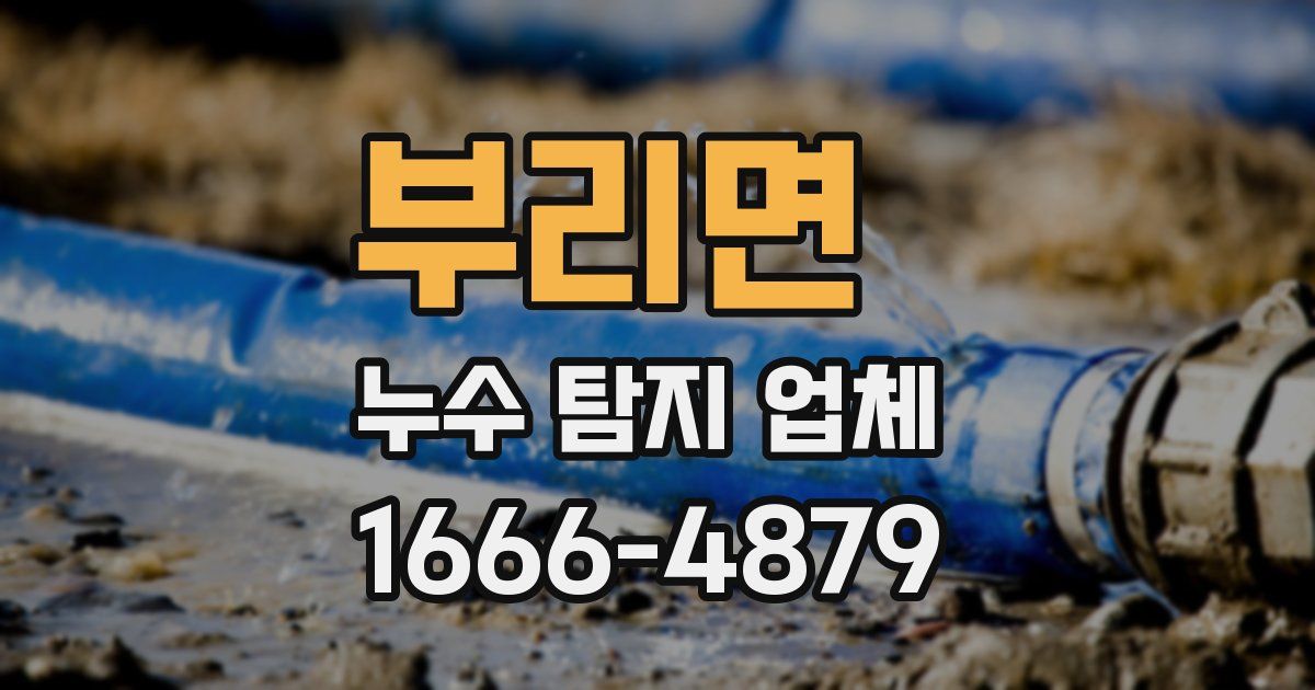 부리면 누수 탐지 업체