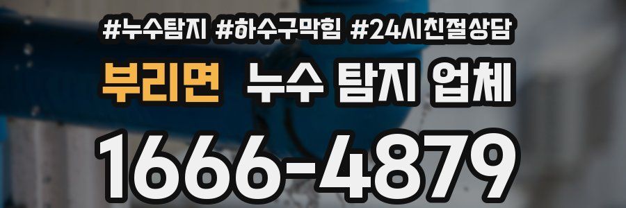 부리면 누수 탐지 업체