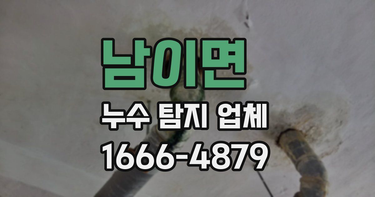 남이면 누수 탐지 업체