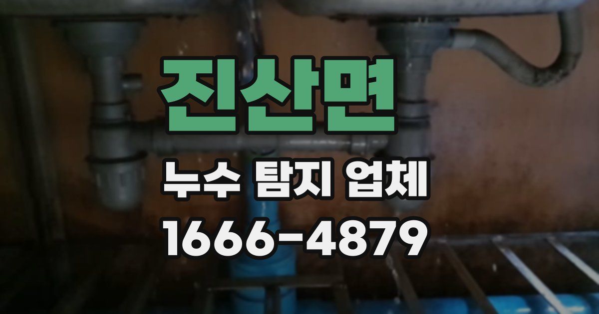 진산면 누수 탐지 업체