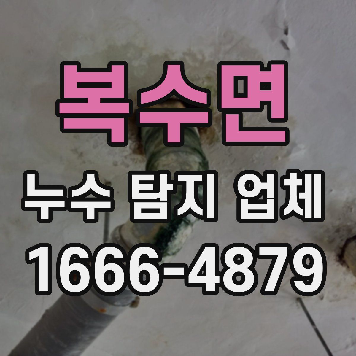 복수면 누수 탐지 업체