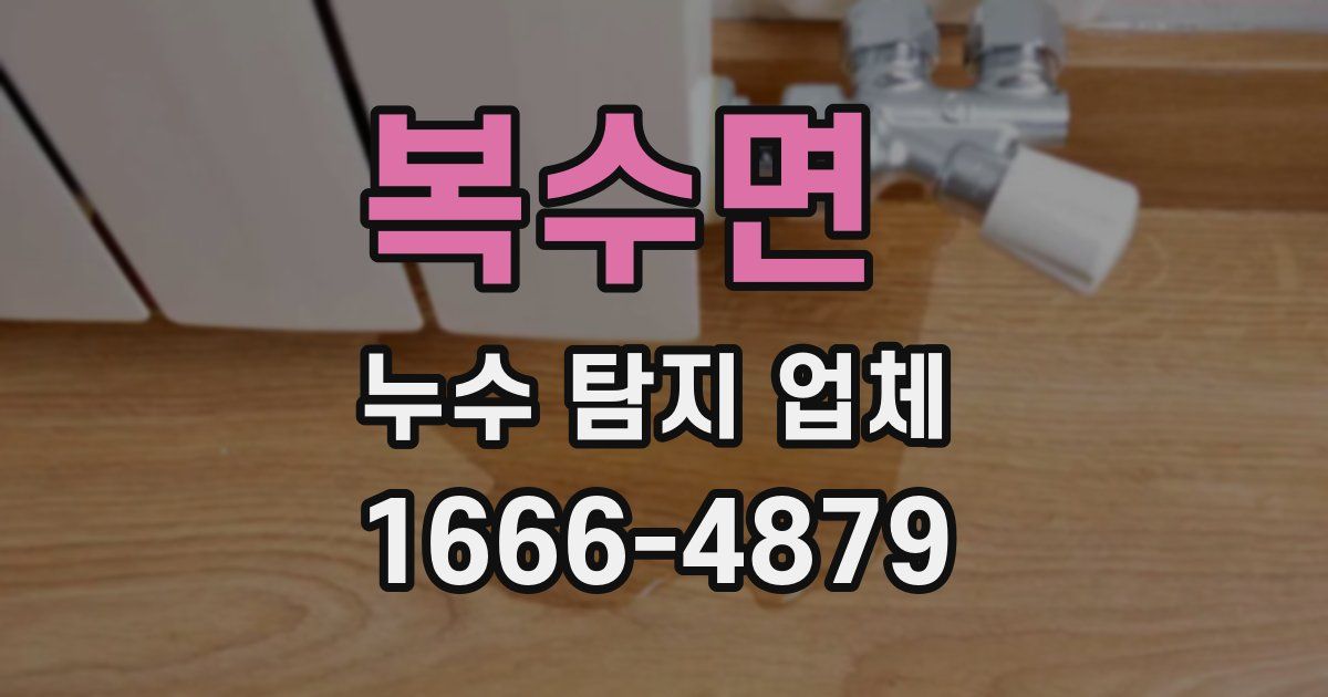 복수면 누수 탐지 업체