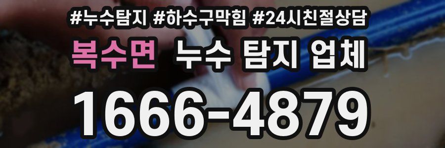 복수면 누수 탐지 업체