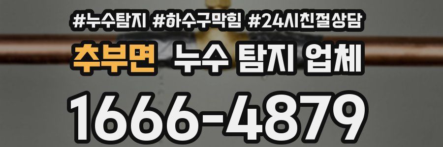 추부면 누수 탐지 업체