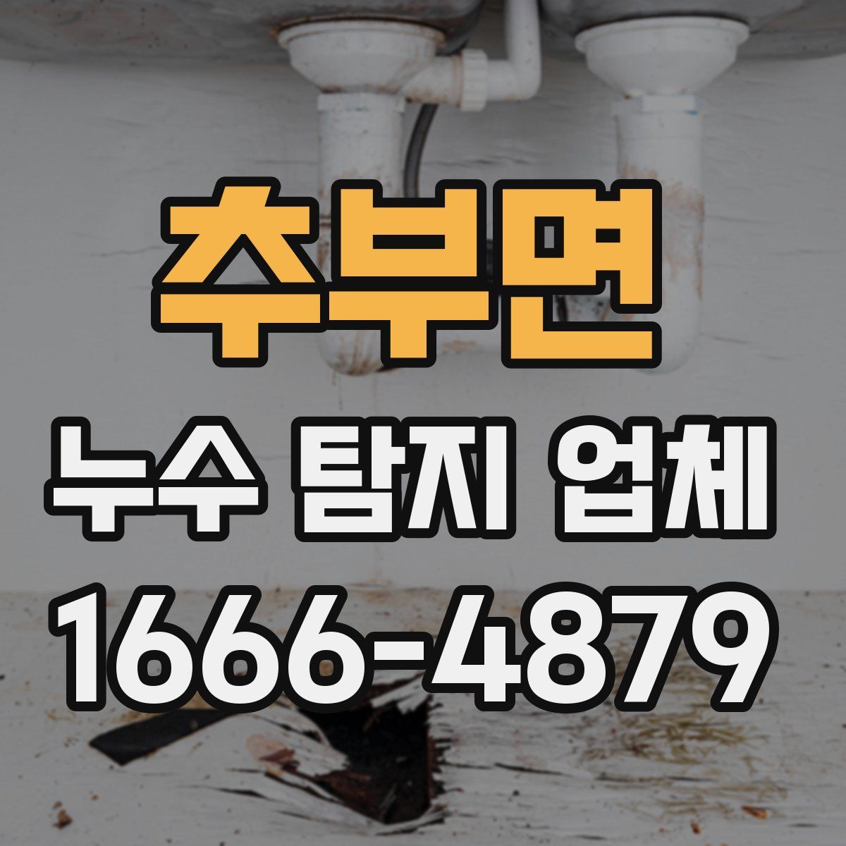 추부면 누수 탐지 업체
