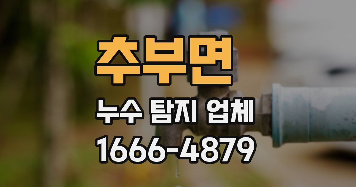 추부면 누수 탐지 업체