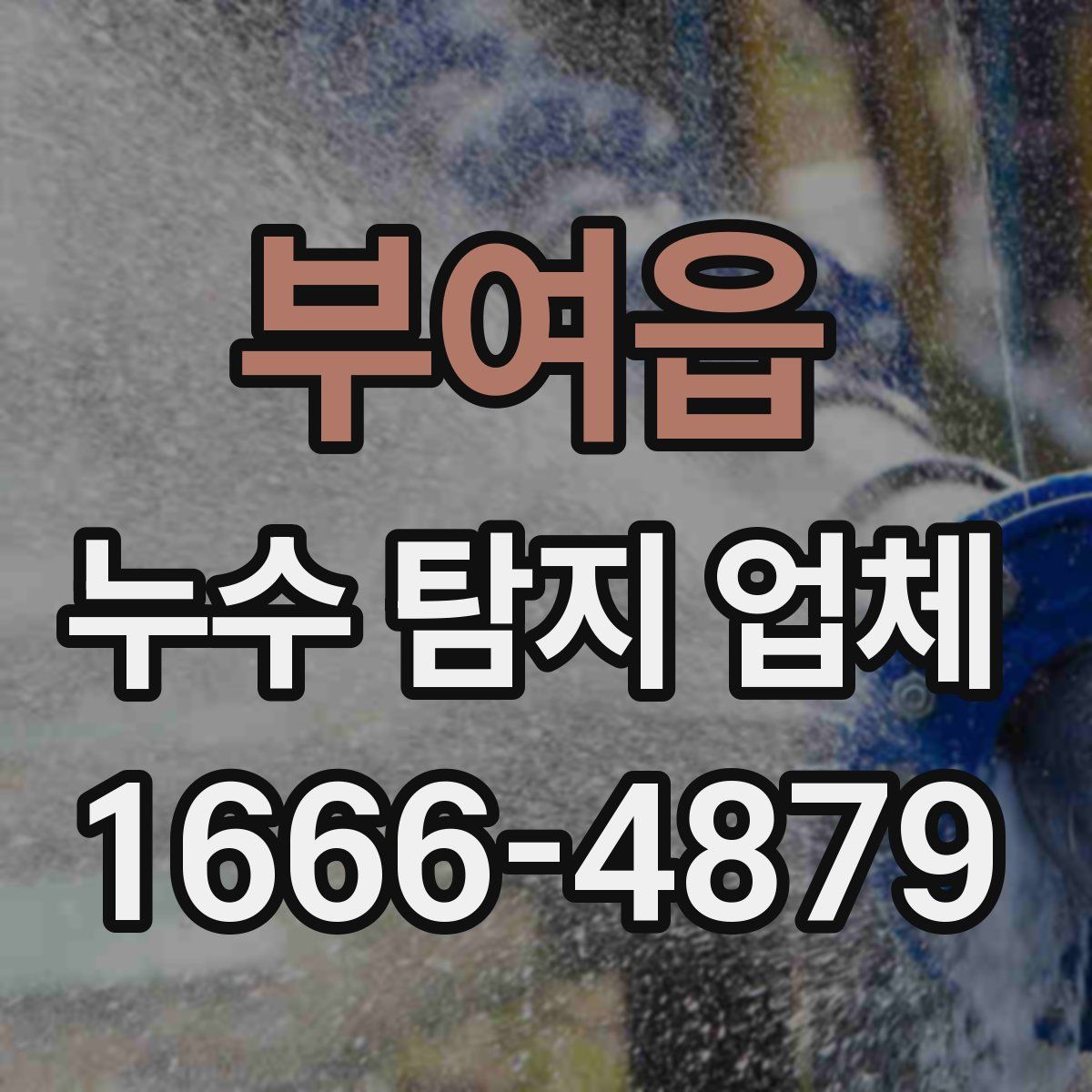 부여읍 누수 탐지 업체