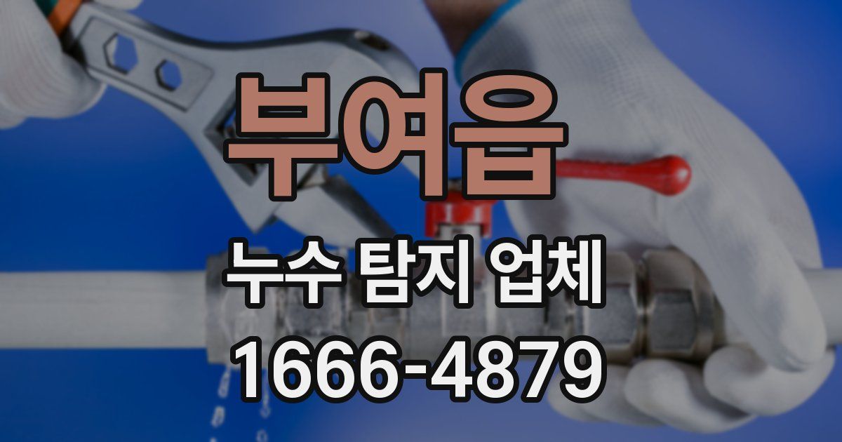 부여읍 누수 탐지 업체