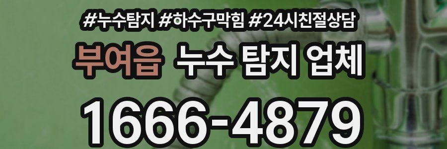 부여읍 누수 탐지 업체