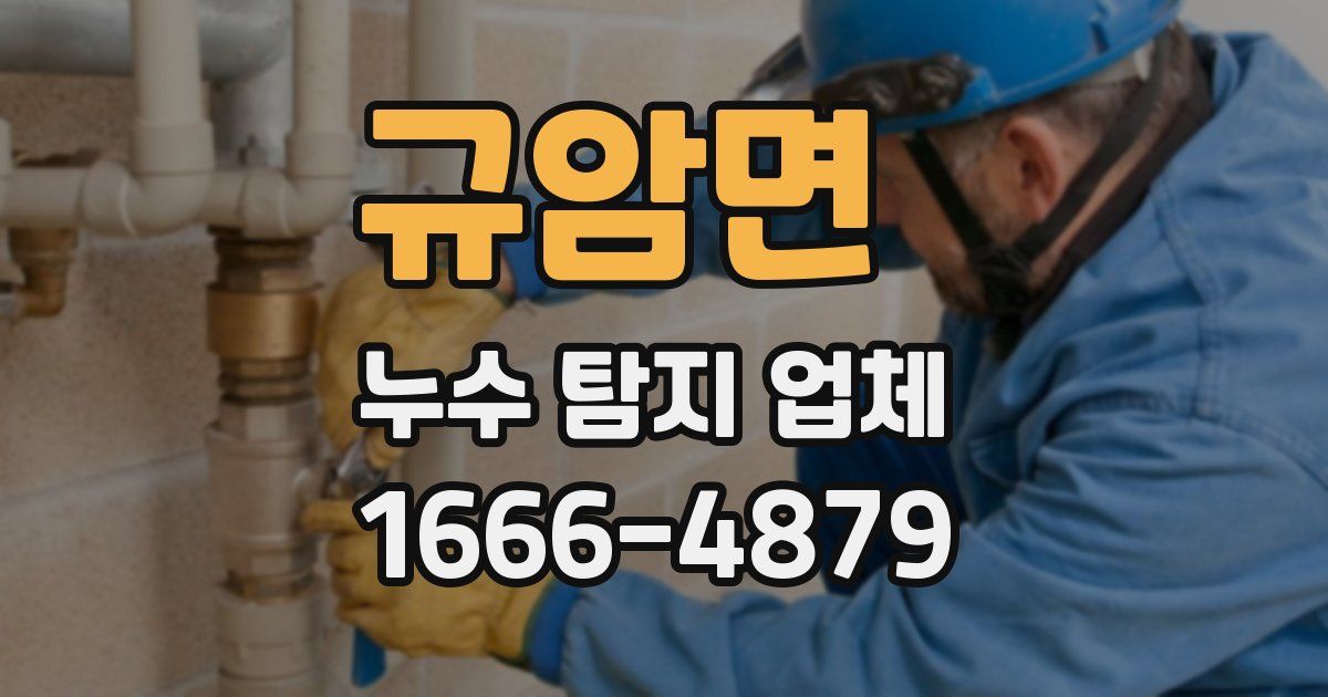 규암면 누수 탐지 업체
