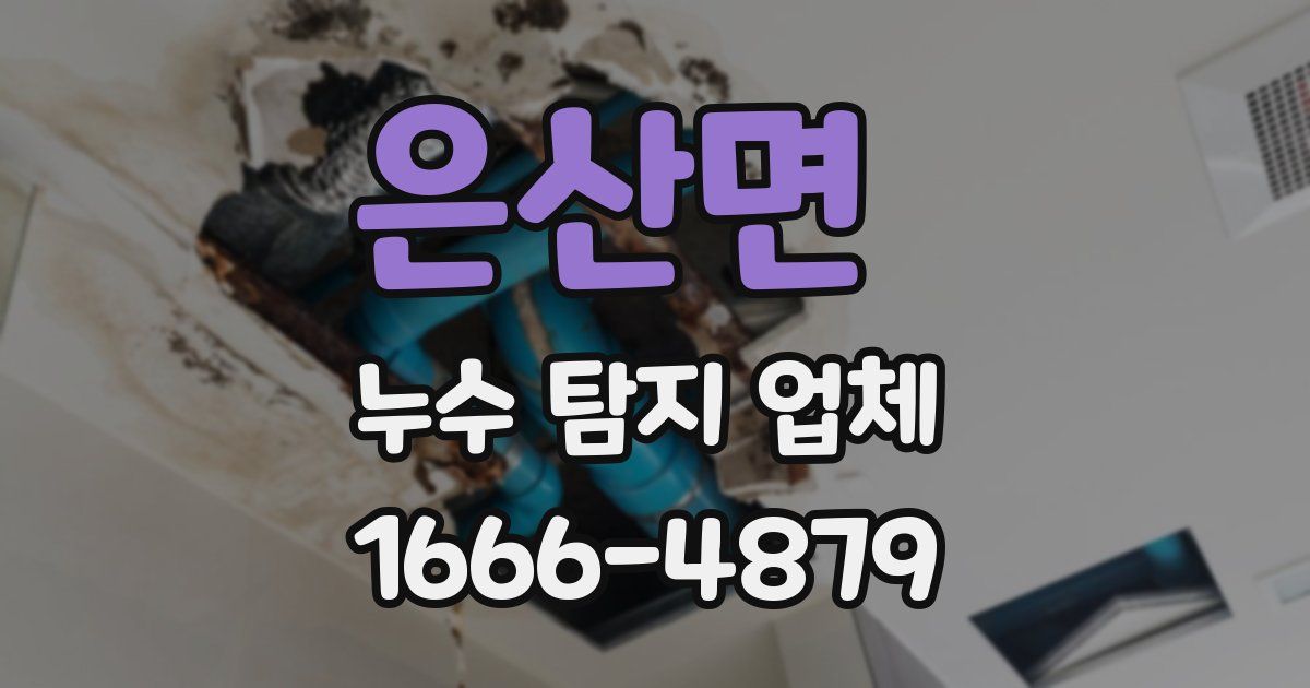은산면 누수 탐지 업체