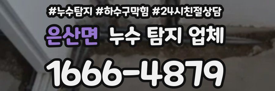 은산면 누수 탐지 업체