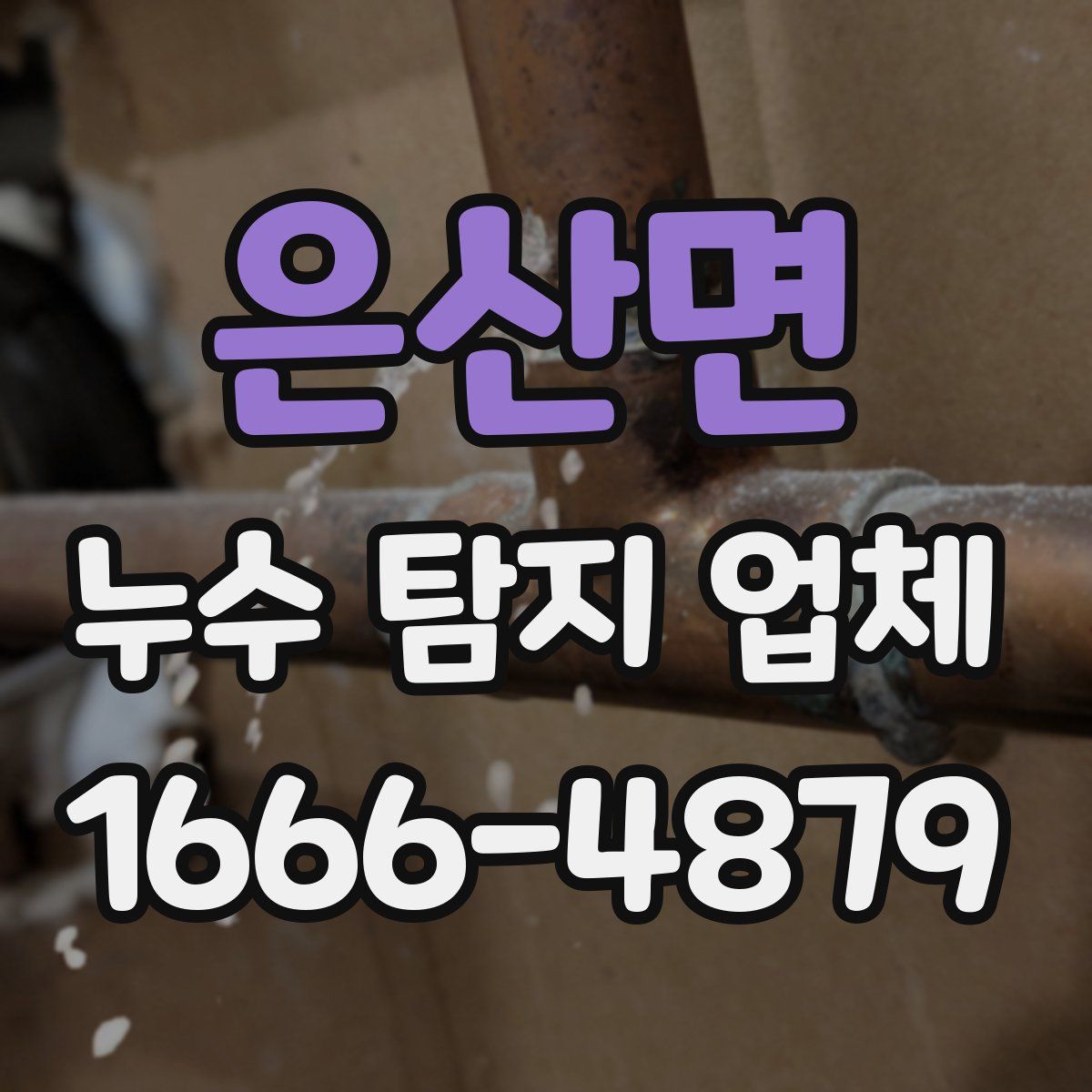 은산면 누수 탐지 업체