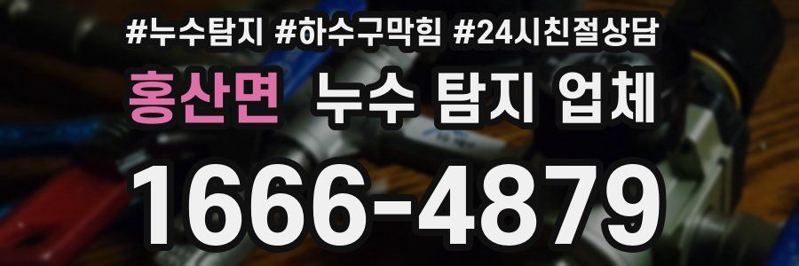 홍산면 누수 탐지 업체
