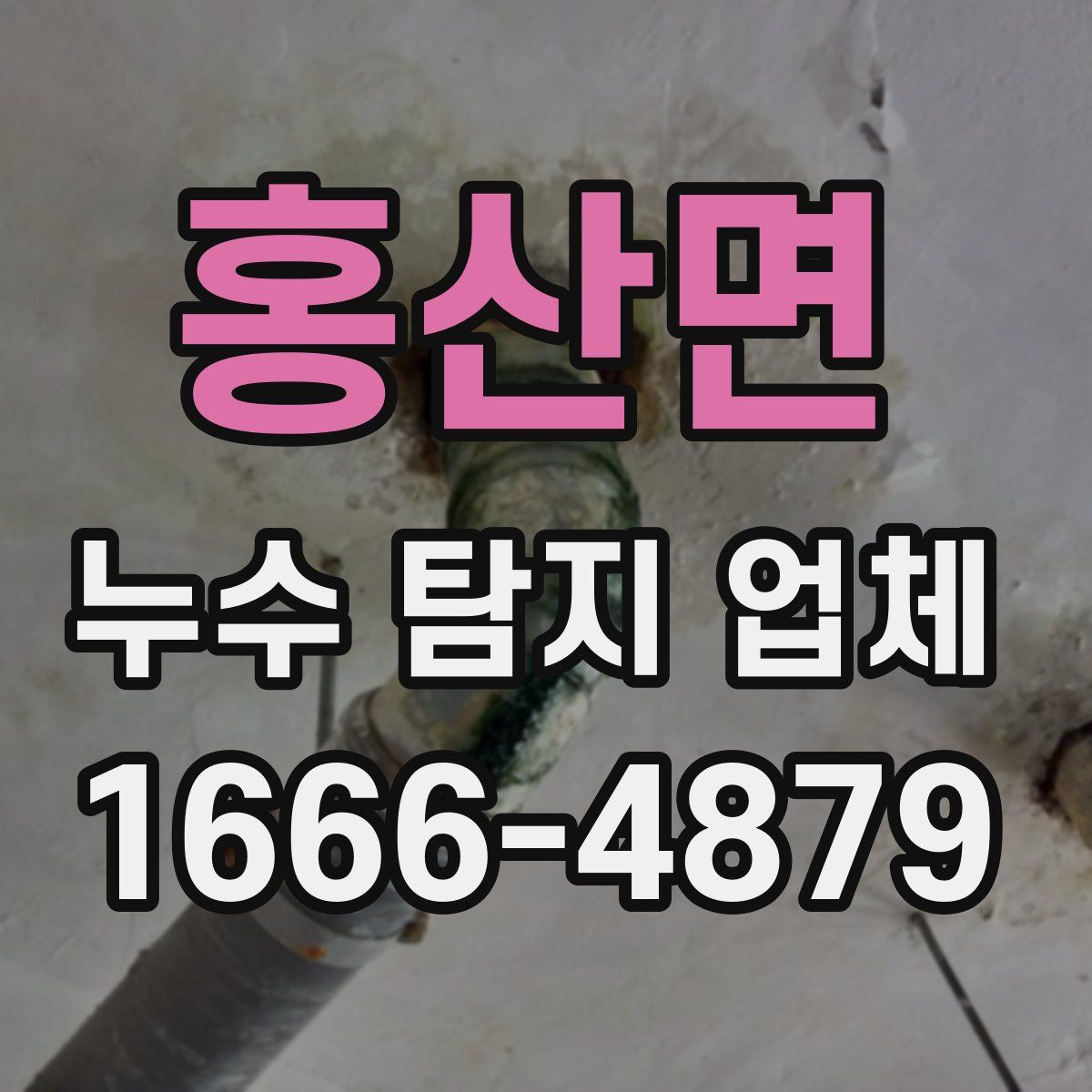 홍산면 누수 탐지 업체