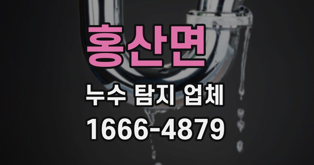 홍산면 누수 탐지 업체