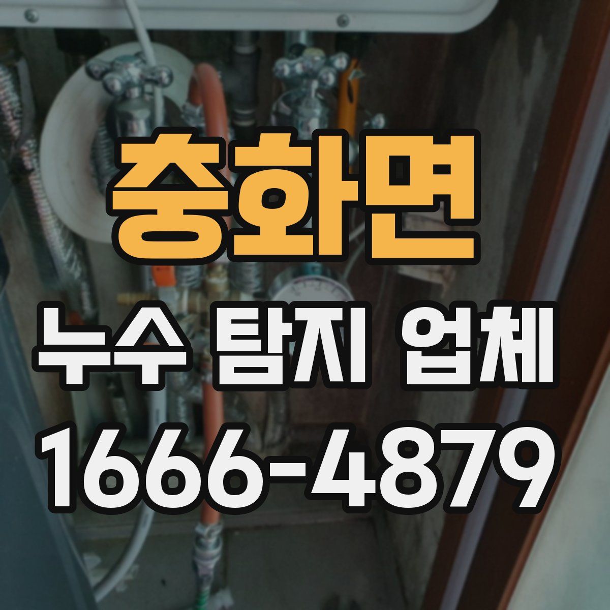 충화면 누수 탐지 업체