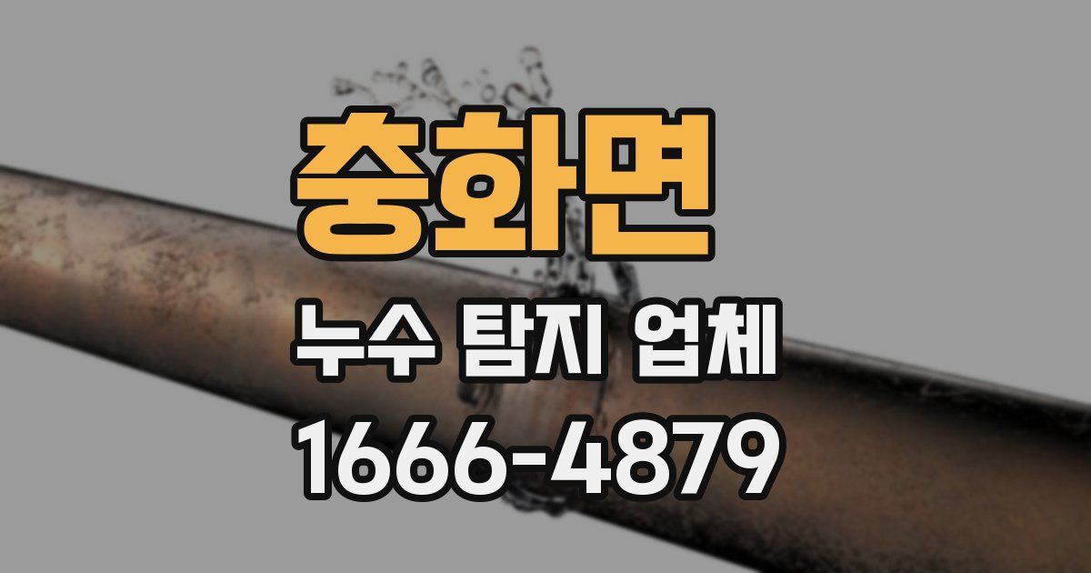 충화면 누수 탐지 업체