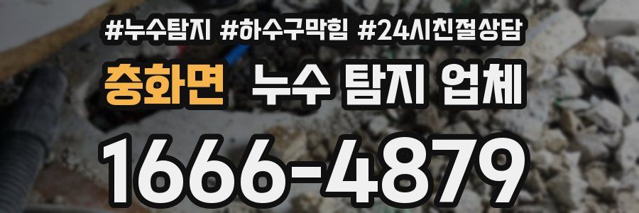 충화면 누수 탐지 업체