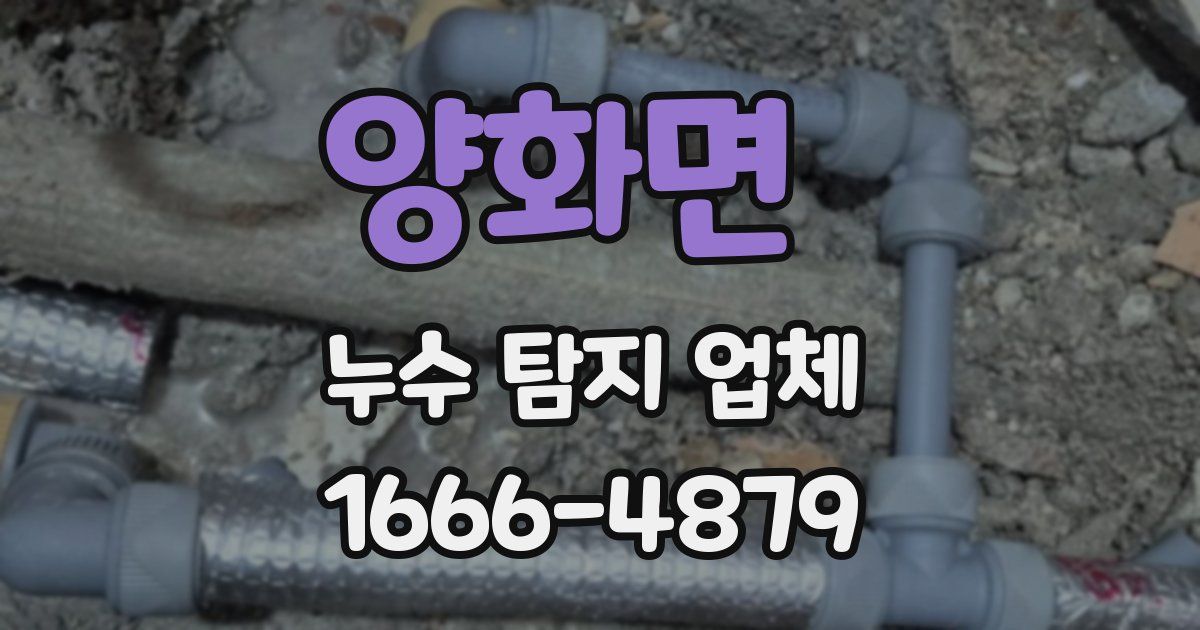 양화면 누수 탐지 업체