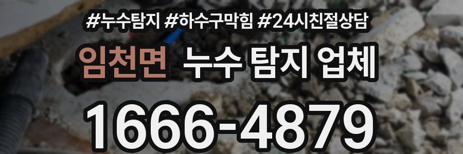 임천면 누수 탐지 업체