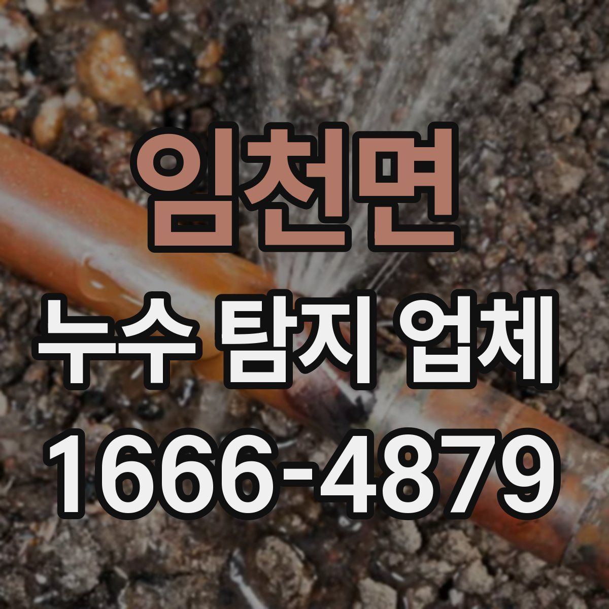 임천면 누수 탐지 업체