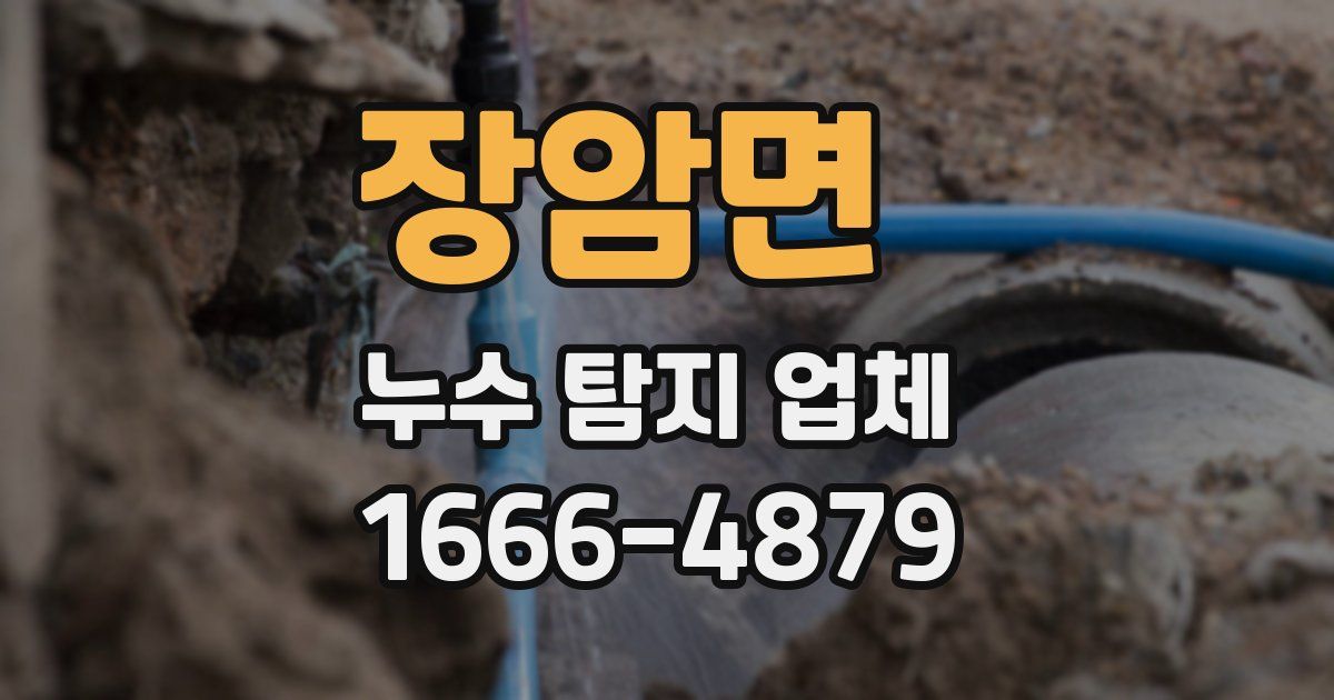 장암면 누수 탐지 업체