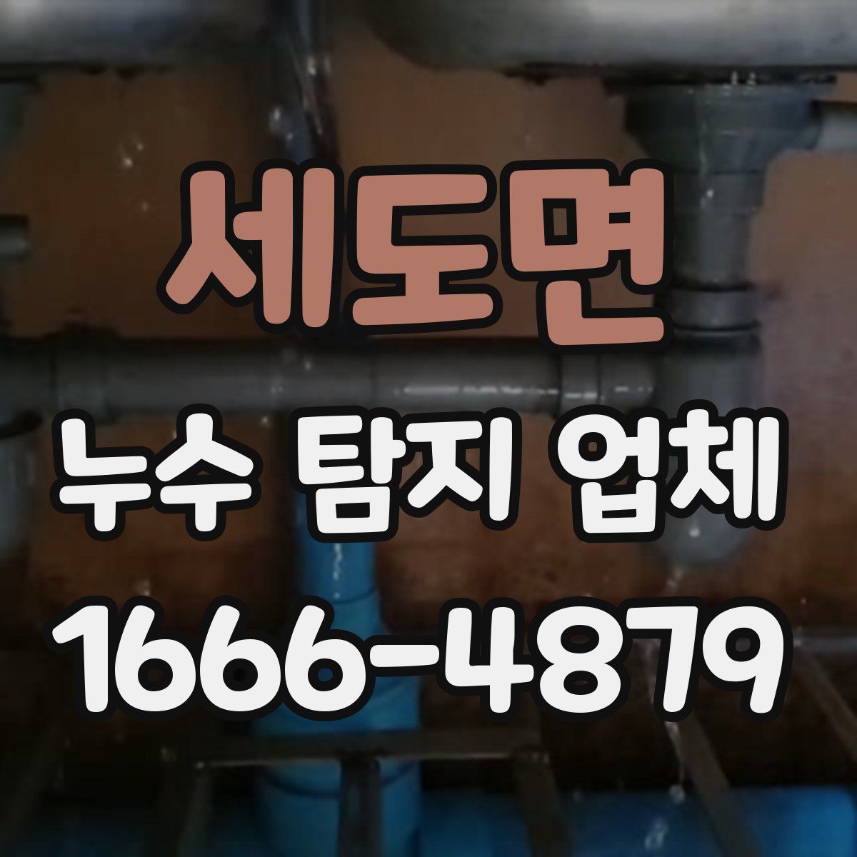 세도면 누수 탐지 업체