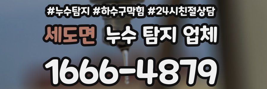 세도면 누수 탐지 업체