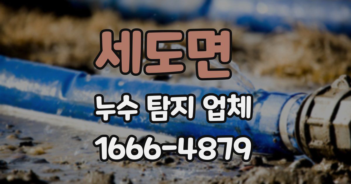 세도면 누수 탐지 업체
