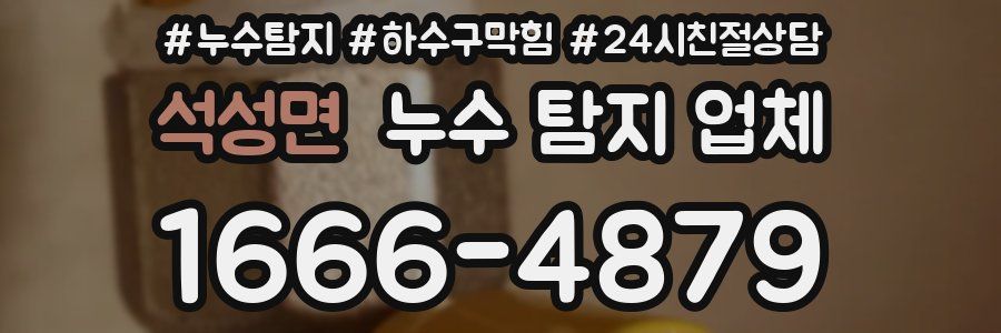 석성면 누수 탐지 업체
