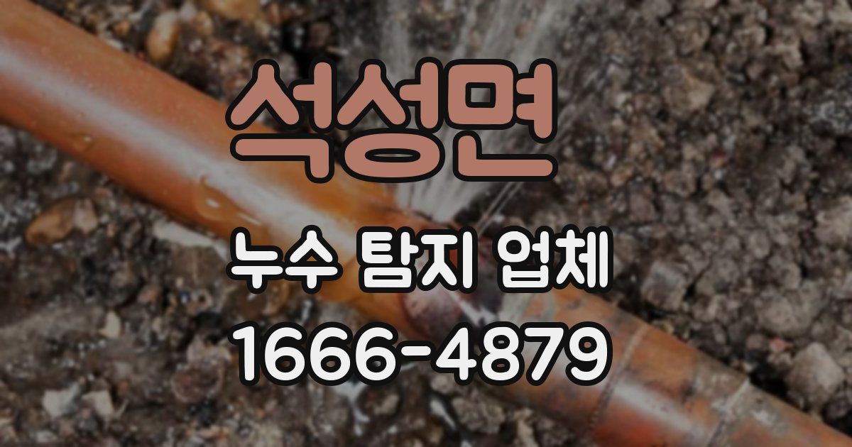 석성면 누수 탐지 업체