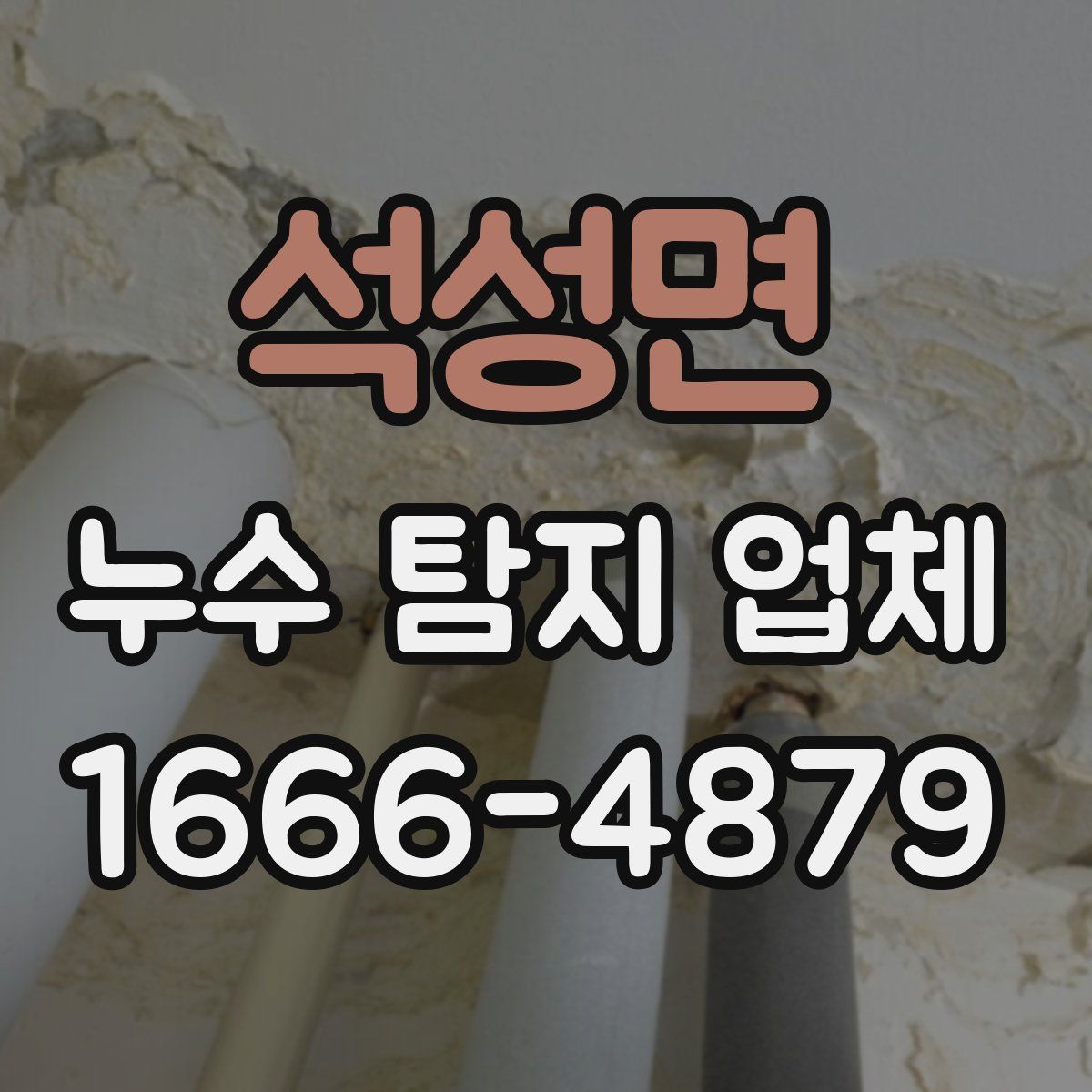 석성면 누수 탐지 업체