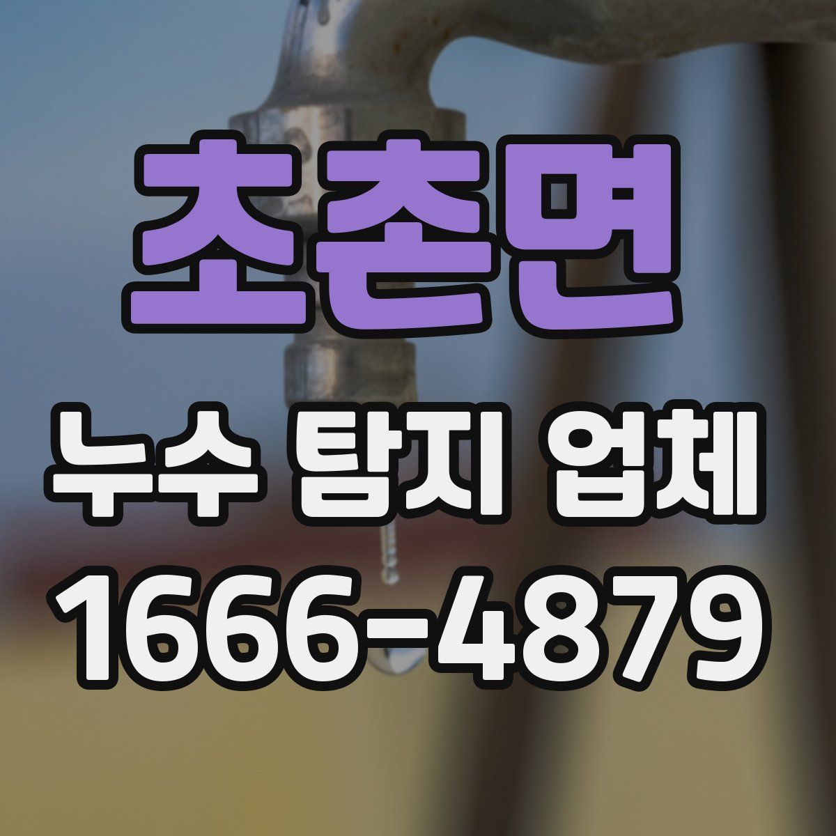 초촌면 누수 탐지 업체